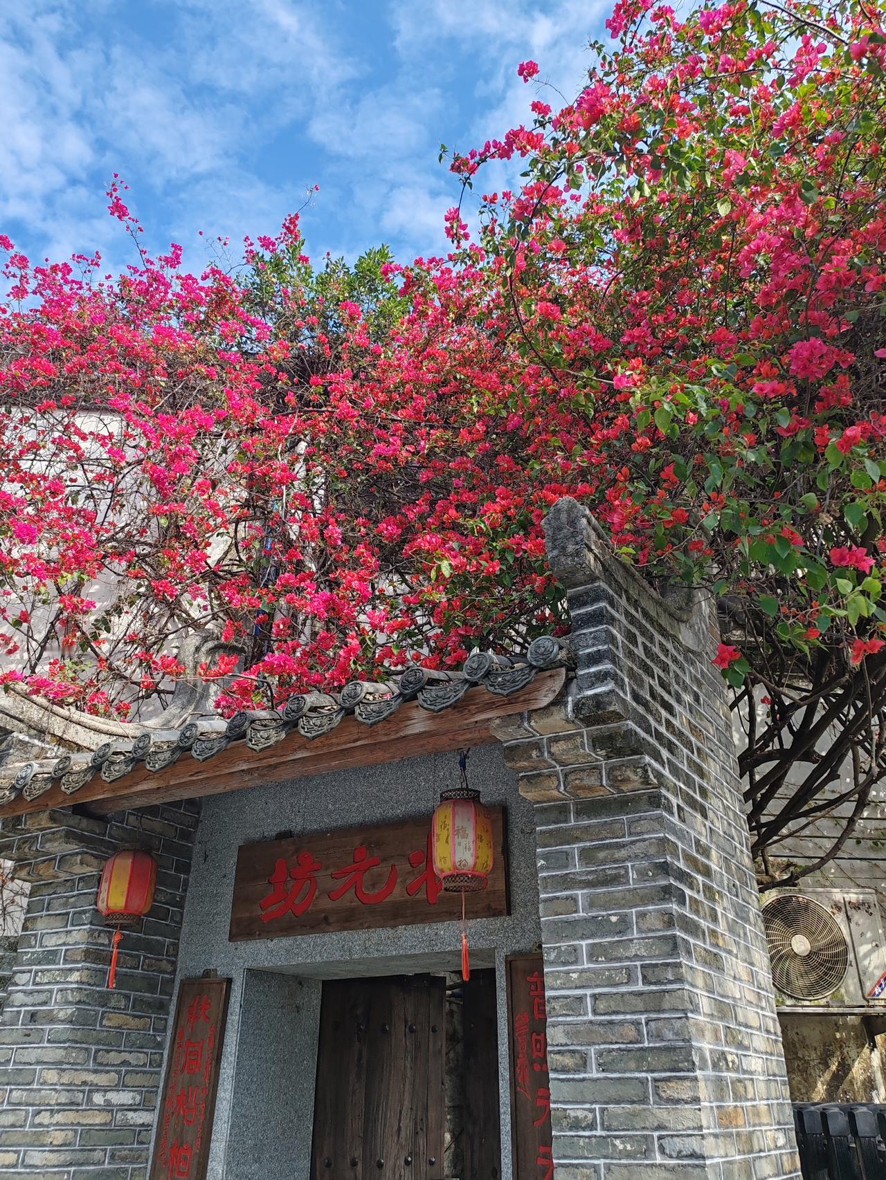 随手拍一张你所在城市的蓝天景色