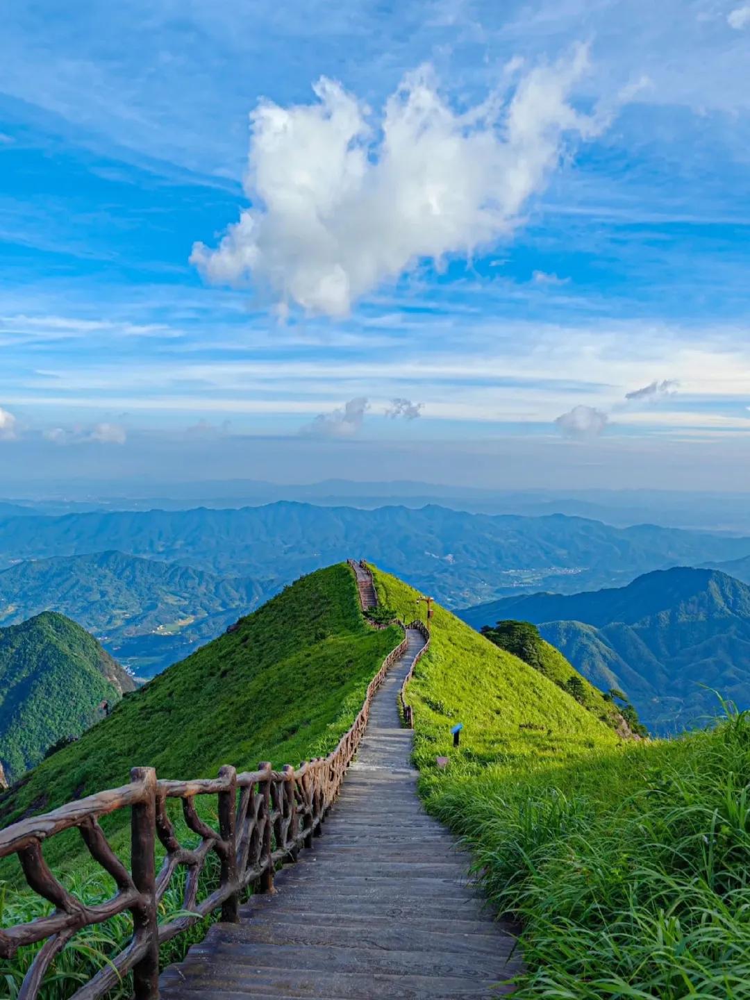 风拂竹岭千枝翠，
雨沐岳峰万绿新
