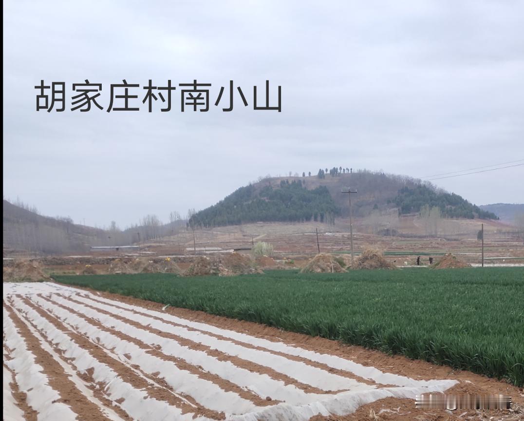 村子里的抗日伏击战，一场真实的抗日战斗！
1940年12月30日，早上天刚刚亮，