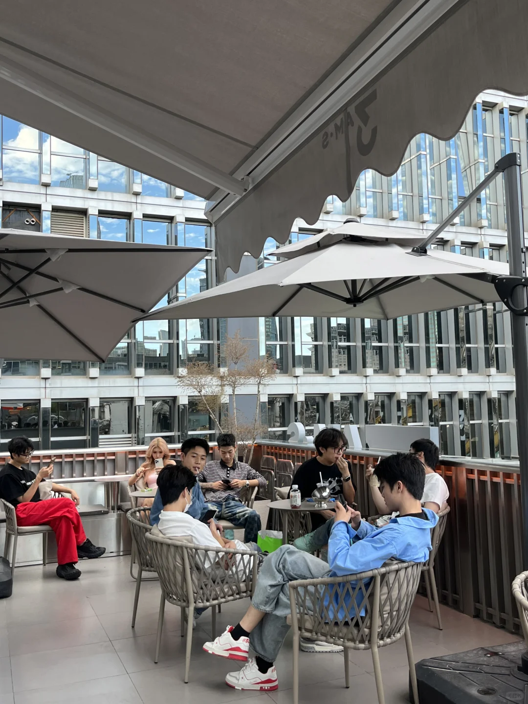 在北京染到了绝美粉毛🫶🏻布丁头拯救计划！