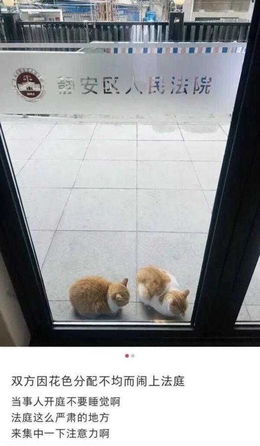 好萌！！ 