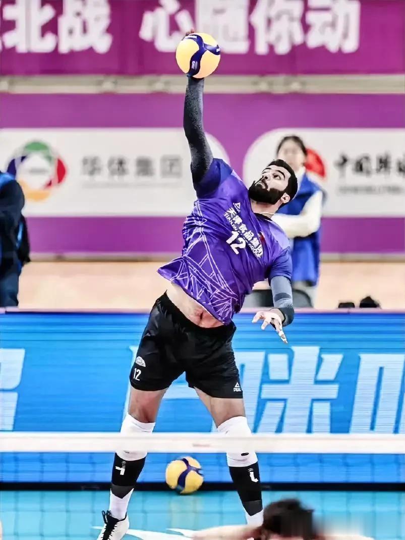 2023/2024中国男子排球超级联赛第一阶段小组赛11月16日赛况、小组排名: