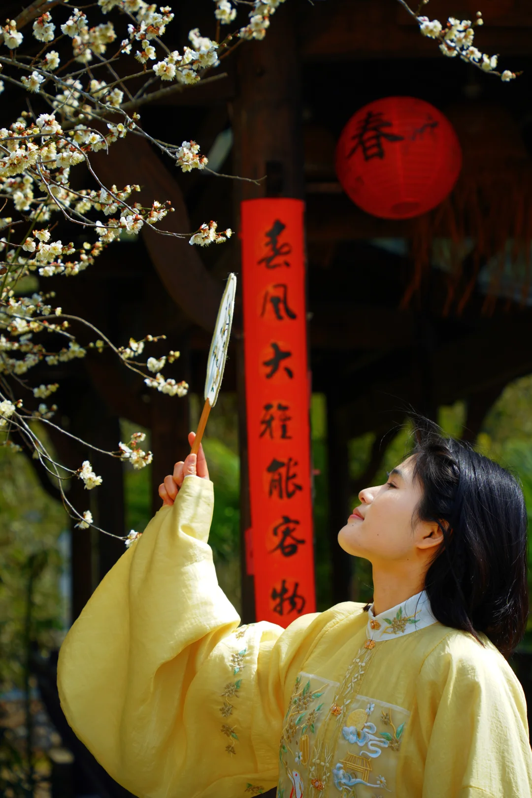 望三清 | 又是一年梅花开