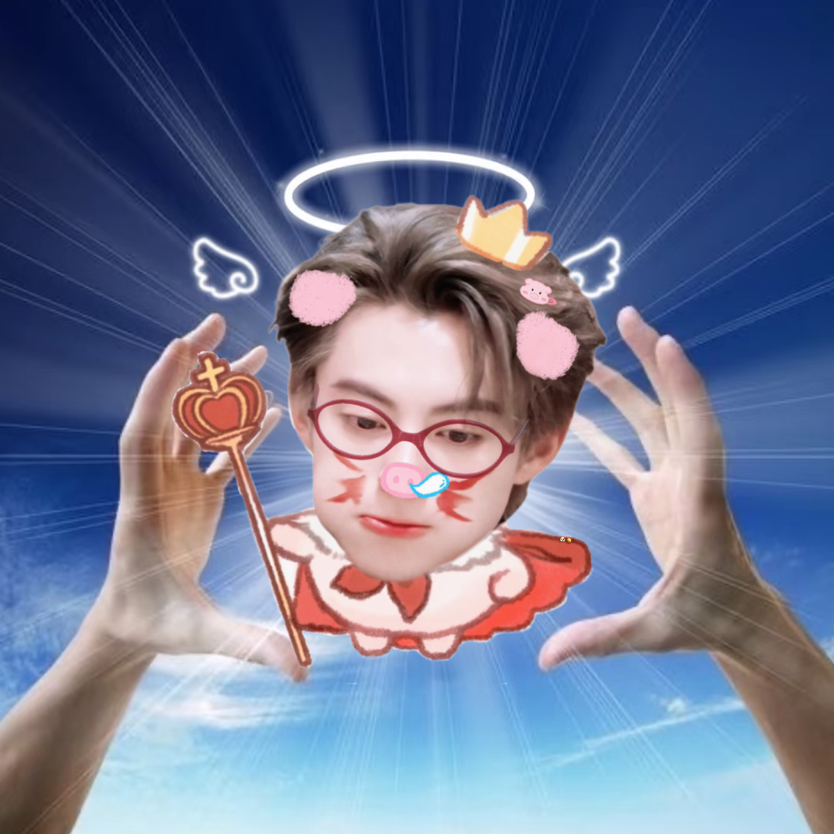 幸运小猪神请赐予我一个前排好座位吧！ 