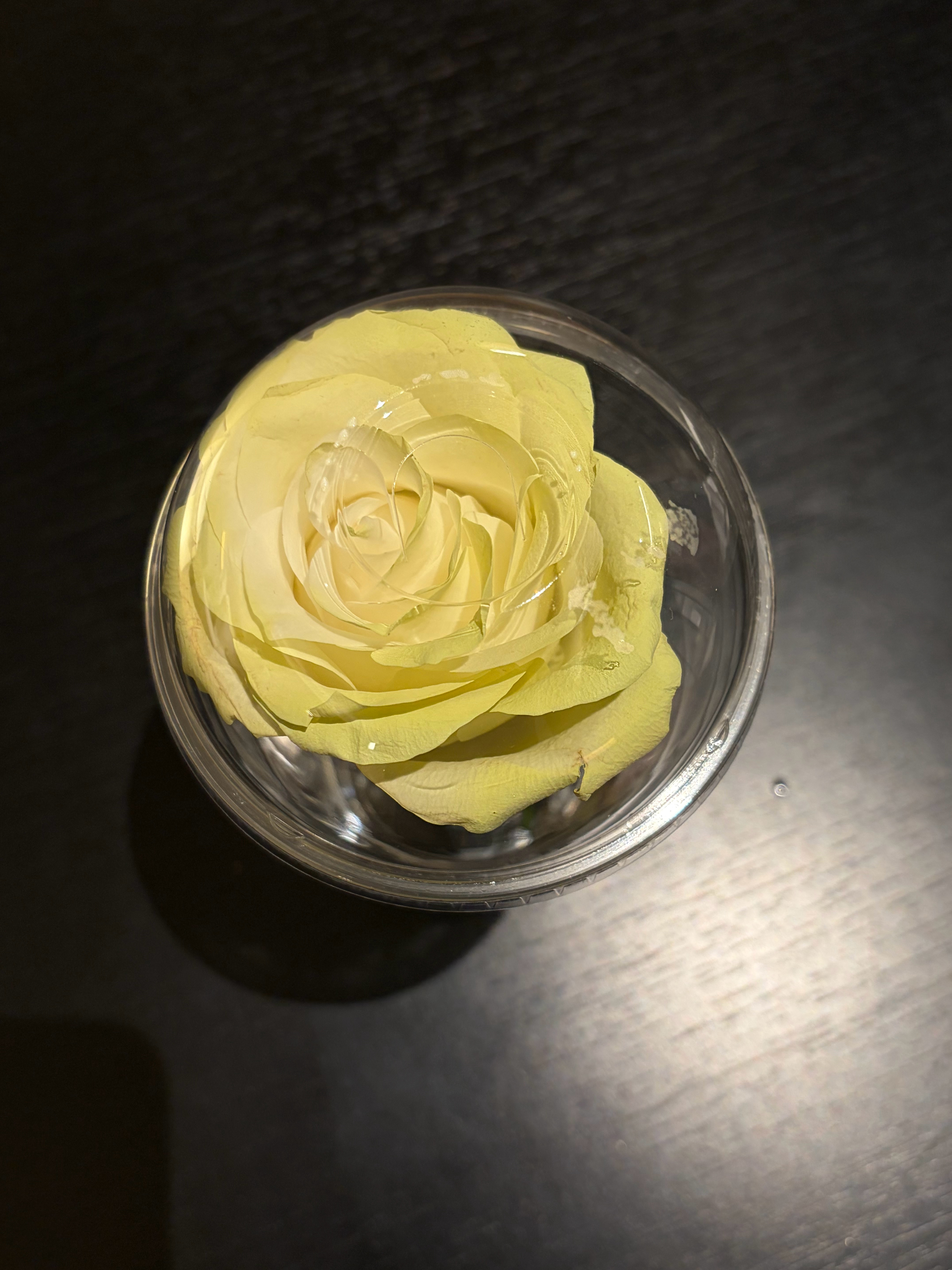 单杯奶茶袋+超大杯气泡盖瑞幸杯子＝玫瑰花100%安全回家两位天才！没有朋友的啤什