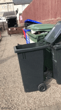 人类的行为常具有不可理喻的特性