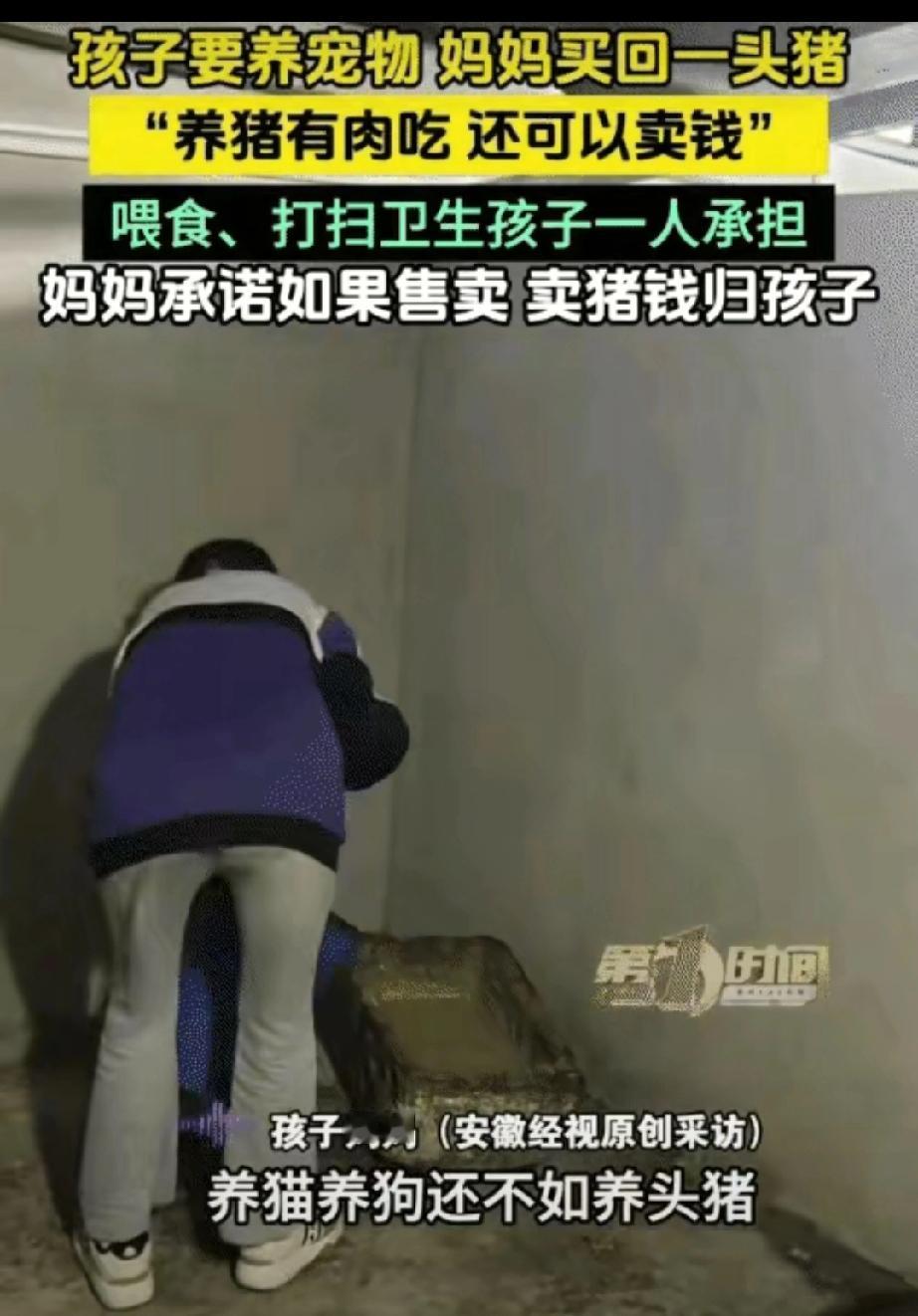 太有意思了！贵州平塘，一小女孩天天缠着妈妈，哭着闹着想要养宠物，妈妈一开始直接拒