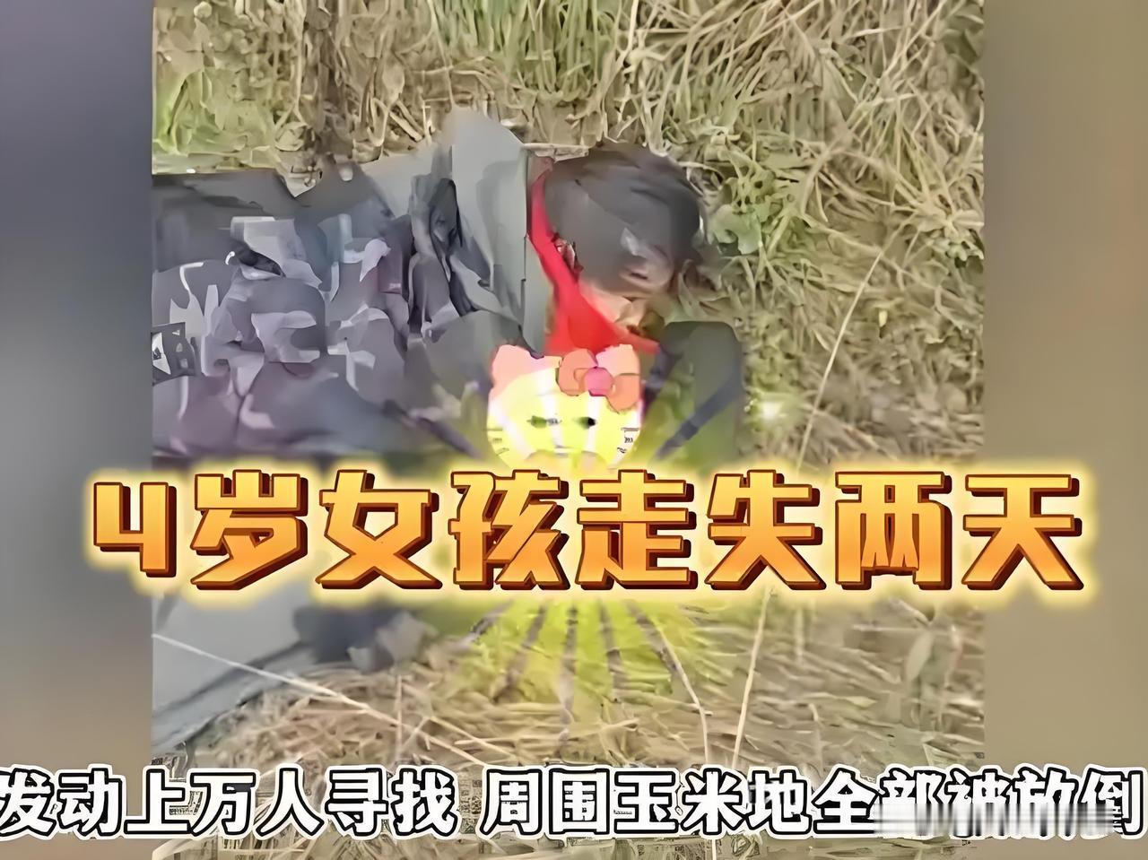 发动上万人寻找，周围玉米地全部被放倒
看到辽宁走失的4岁女孩被找到的消息，不得不