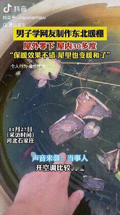 “真聪明！”河北石家庄，天气变冷后，一男子突发奇想在院子里花1000多块钱搭了一