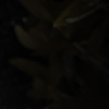 种植[超话]种植耐心聆听别人的需求，把自己放在对方的位置上，用温暖倾听传达爱与关