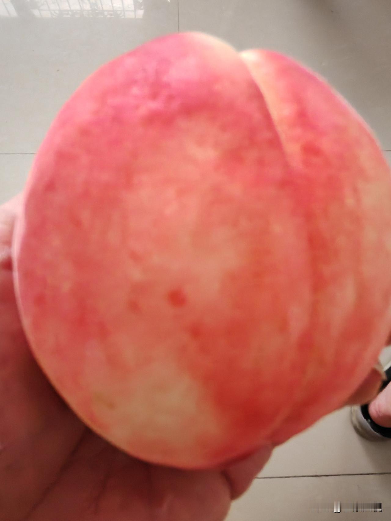 前天侄娃给我拿了些桃子，说是北京七号。我问多少钱一斤？他说五块钱。
      