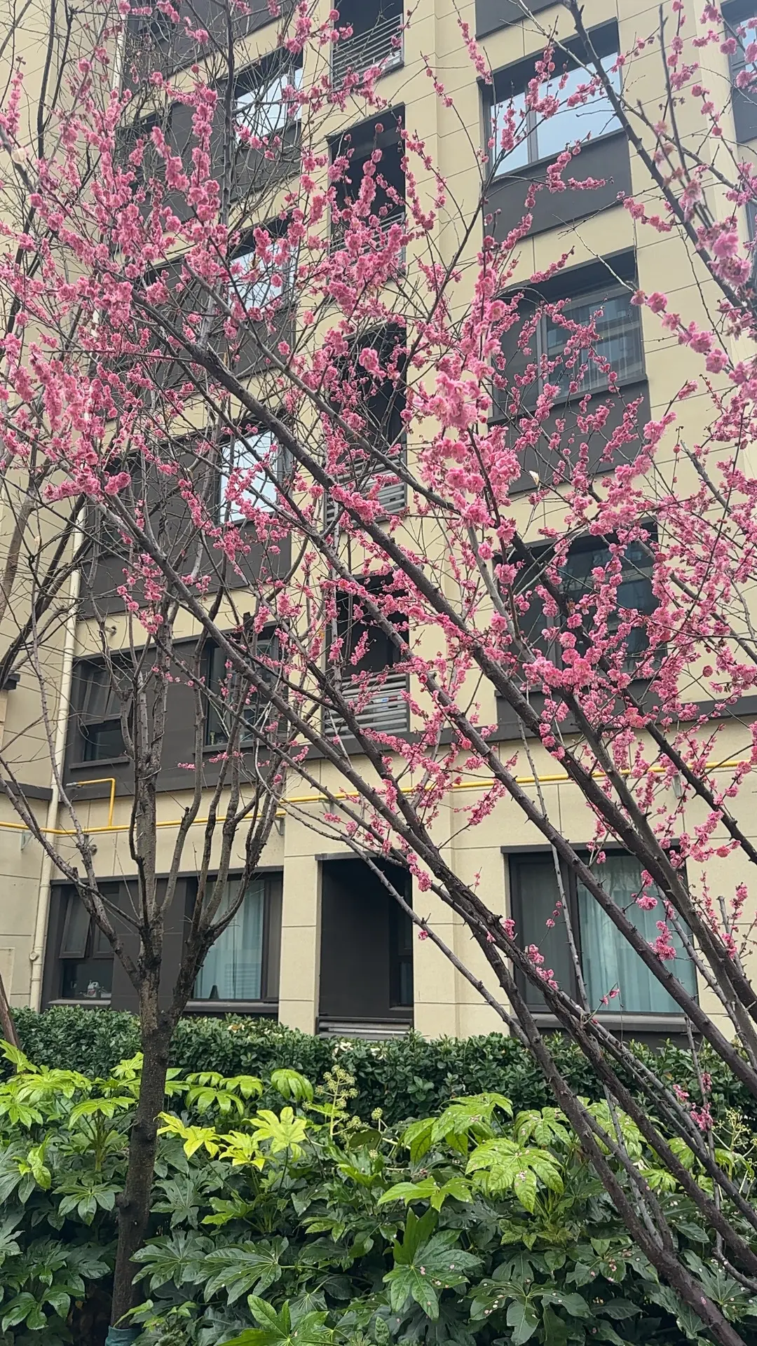 春天来了，夏天还远吗