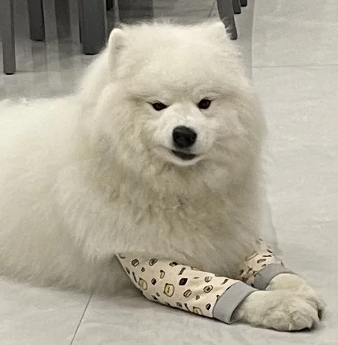 骂骂咧咧