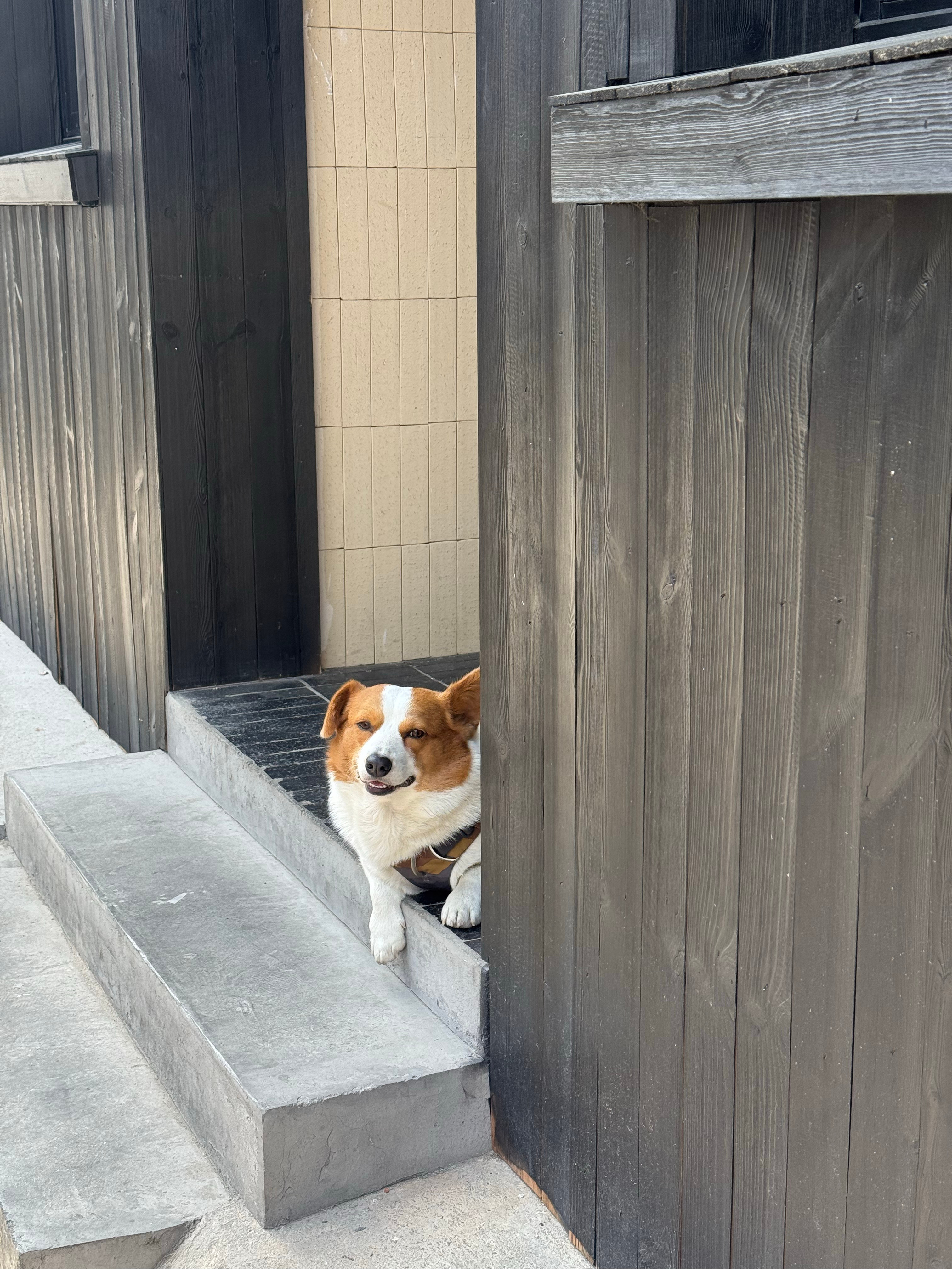 泡在阳光里 想要被晒透. ​​​