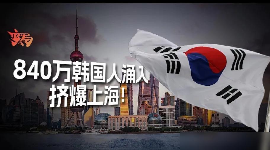 浦东的磁悬浮把韩国阿姨整懵了，陆家嘴的天际线让首尔小哥破防，原来中韩免签后840