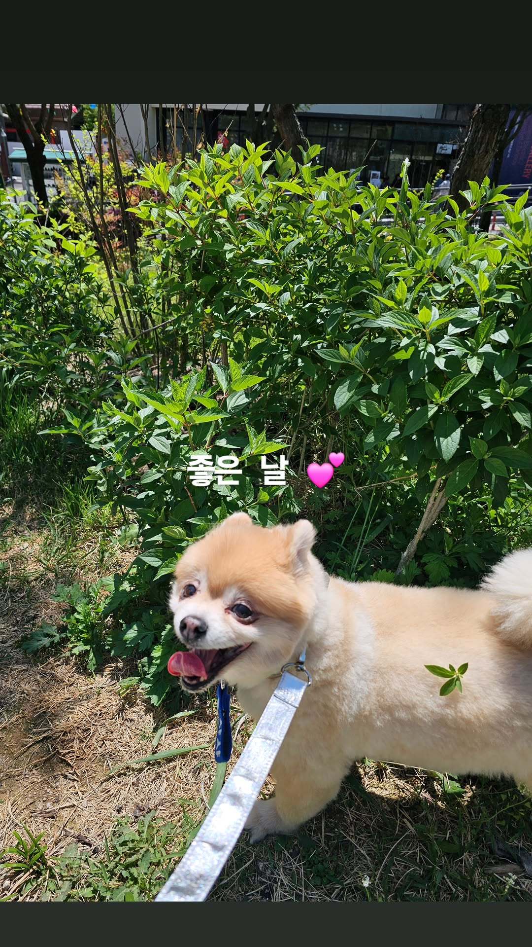 “CB百蓝_。260505金厉旭 ins story更新：美好的一天💕 