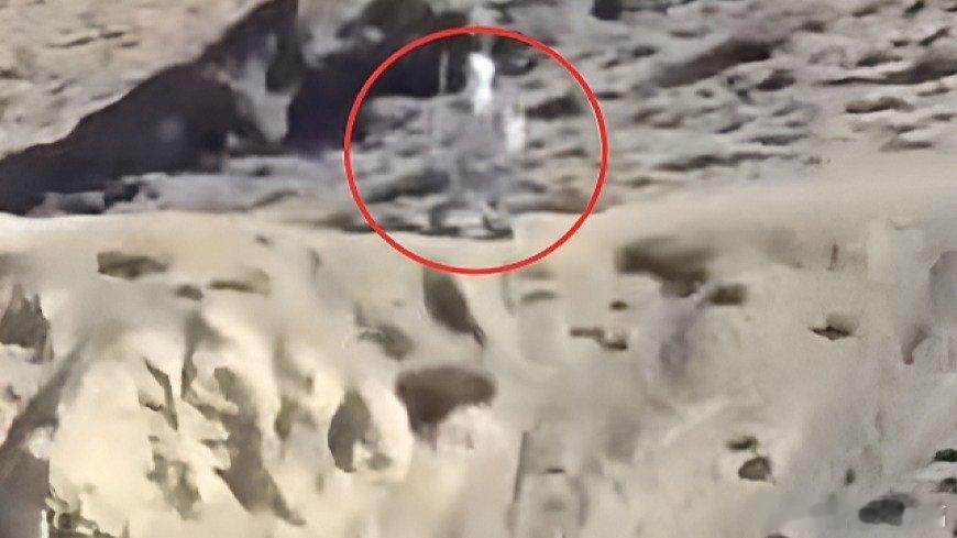 凤凰新闻【中印边境疑现中国机器人在站岗，印方拍摄画面曝光】据凤凰卫视报道，近日，