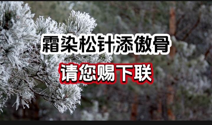 对对联 上联：雪染松针添傲骨 请您赐下联
上联：雪染松针添傲骨
下联：
请您赐下