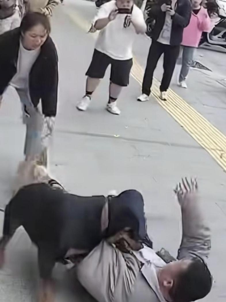 遛狗不牵绳，明确犯法！——法律红线与责任全解析
 
遛狗不牵绳不是小事，而是明确
