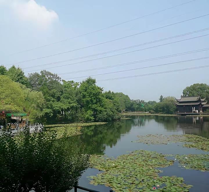 九月的风一吹，早晚那凉意是真真切切地往脖子里钻，这时候打开衣柜，心里头那股子“换