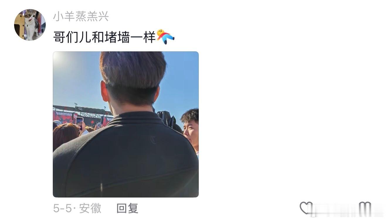 看音乐节的时候觉得自己长得好善良 