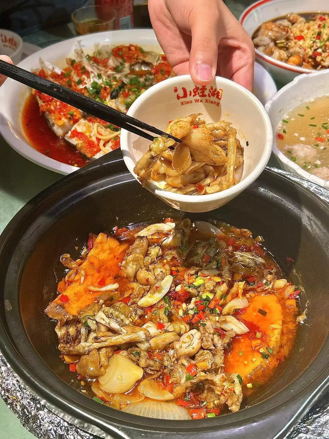 （长沙）吃蛙我只来这家！也太会做蛙了！