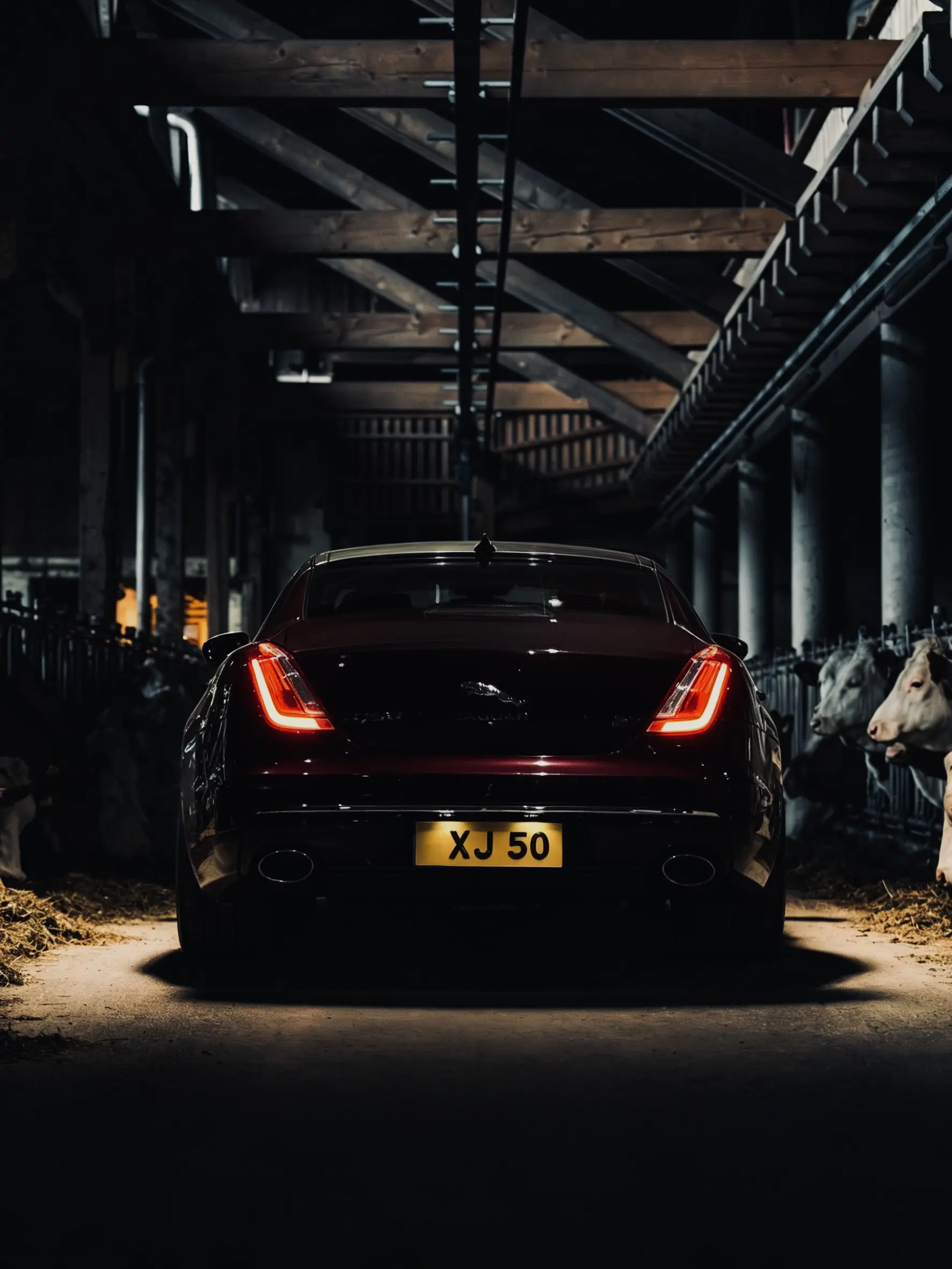 保持自由的灵魂，永不困顿荆棘。