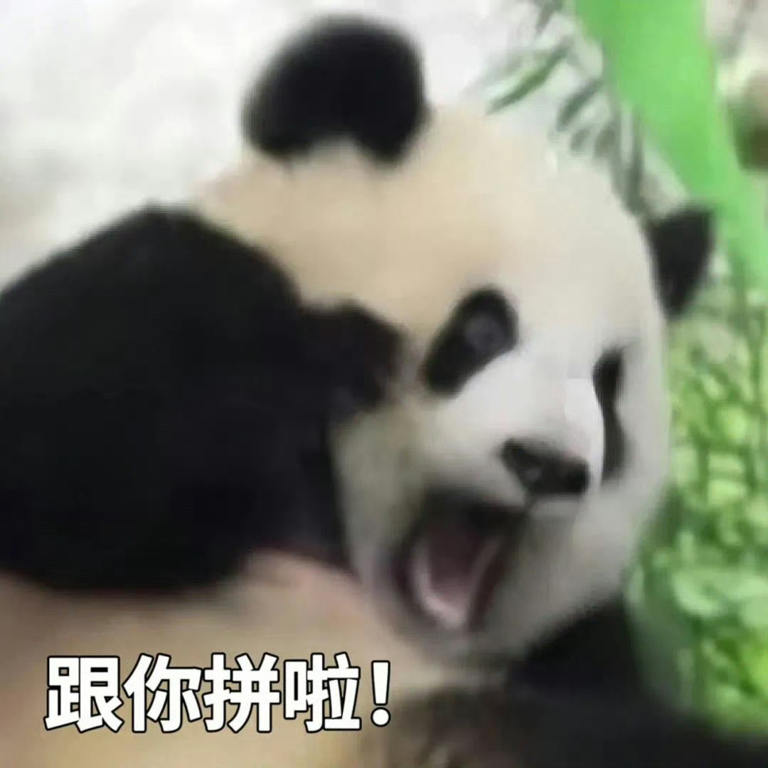 上条是玩梗，不是让你们真说[苦涩][苦涩][苦涩] ​​​