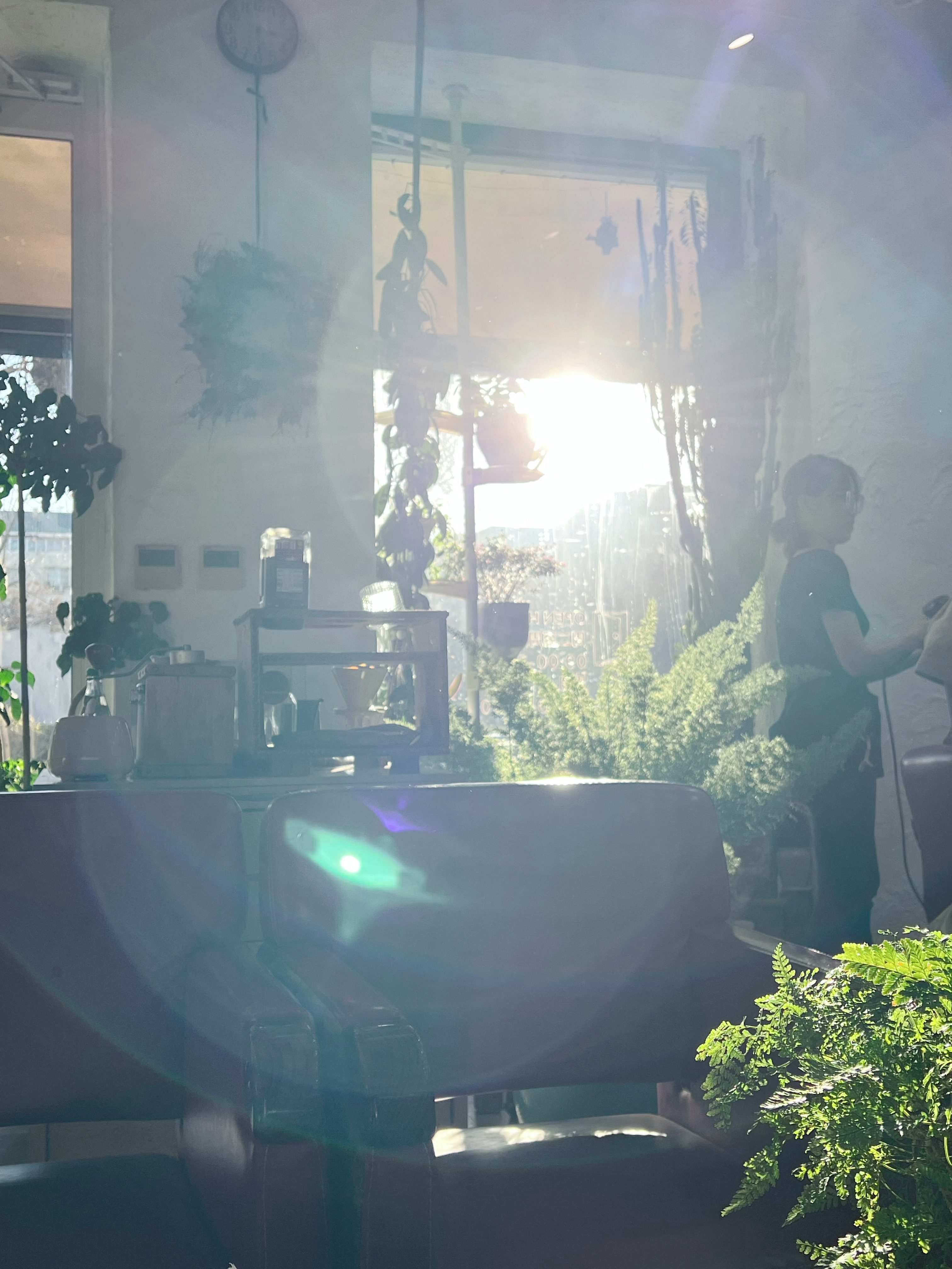 阳光好舒服也就冬天我敢晒晒，夏天我一晒就黑