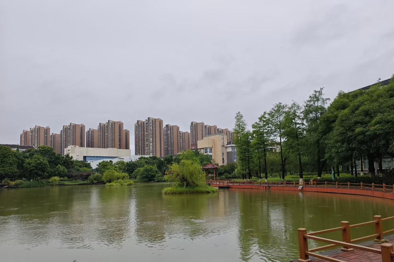 理性看待农村离婚：不该只谈脸面，更要看见现实
 
长久以来，农村社会对离婚自带偏