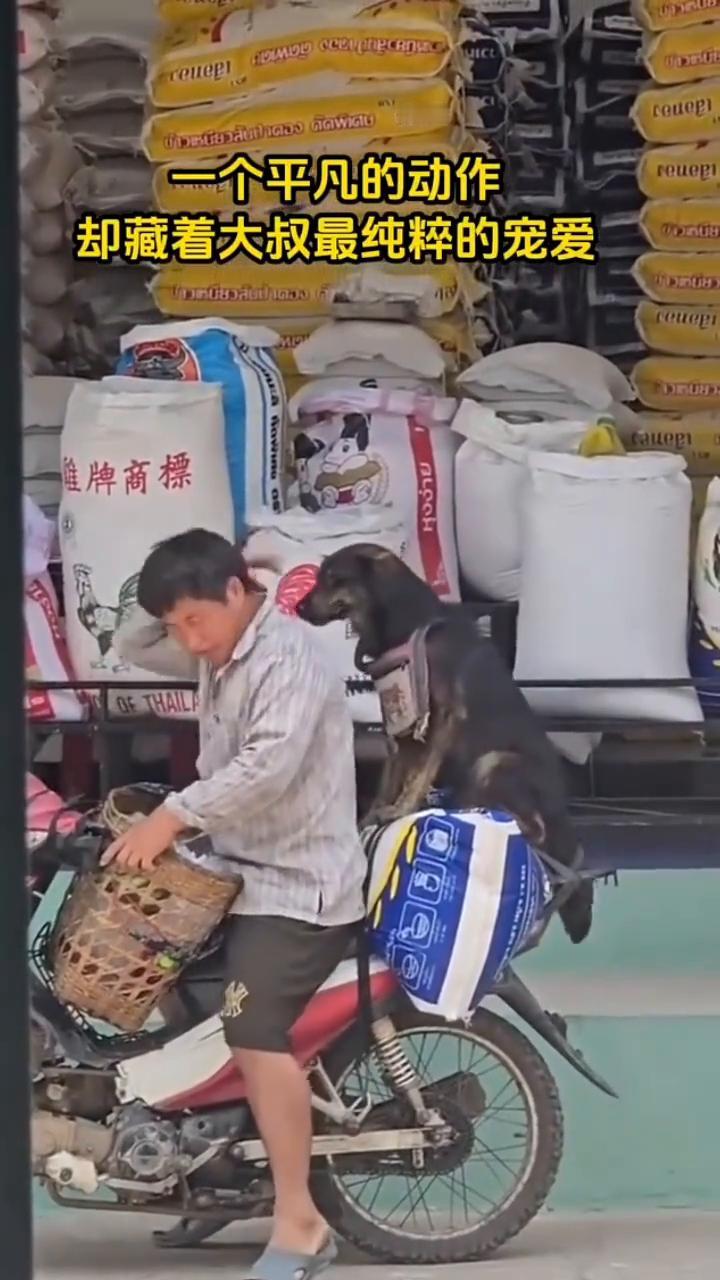 一个平凡的动作，却藏着大叔最纯粹的宠爱。