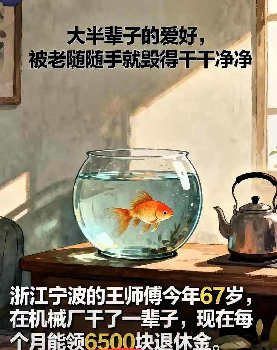 浙江宁波，一男子领着6500元退休金，因为老伴用滚烫的开水浇死了他买的金鱼，已经