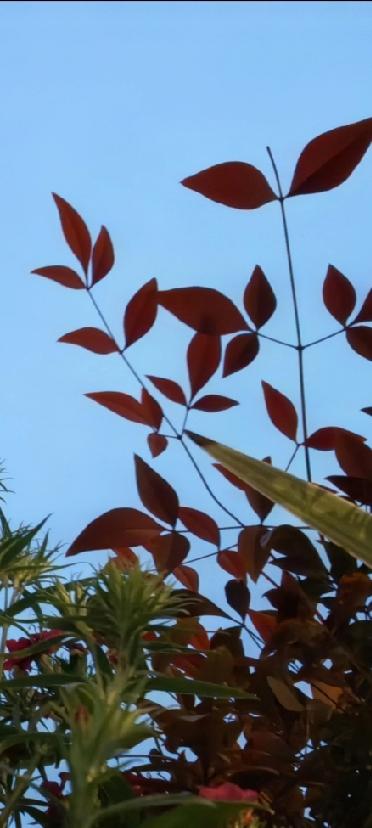 明明很辛苦，为什么还是过不好这一生？

每天加班到深夜，却还在原地踏步；学了很多