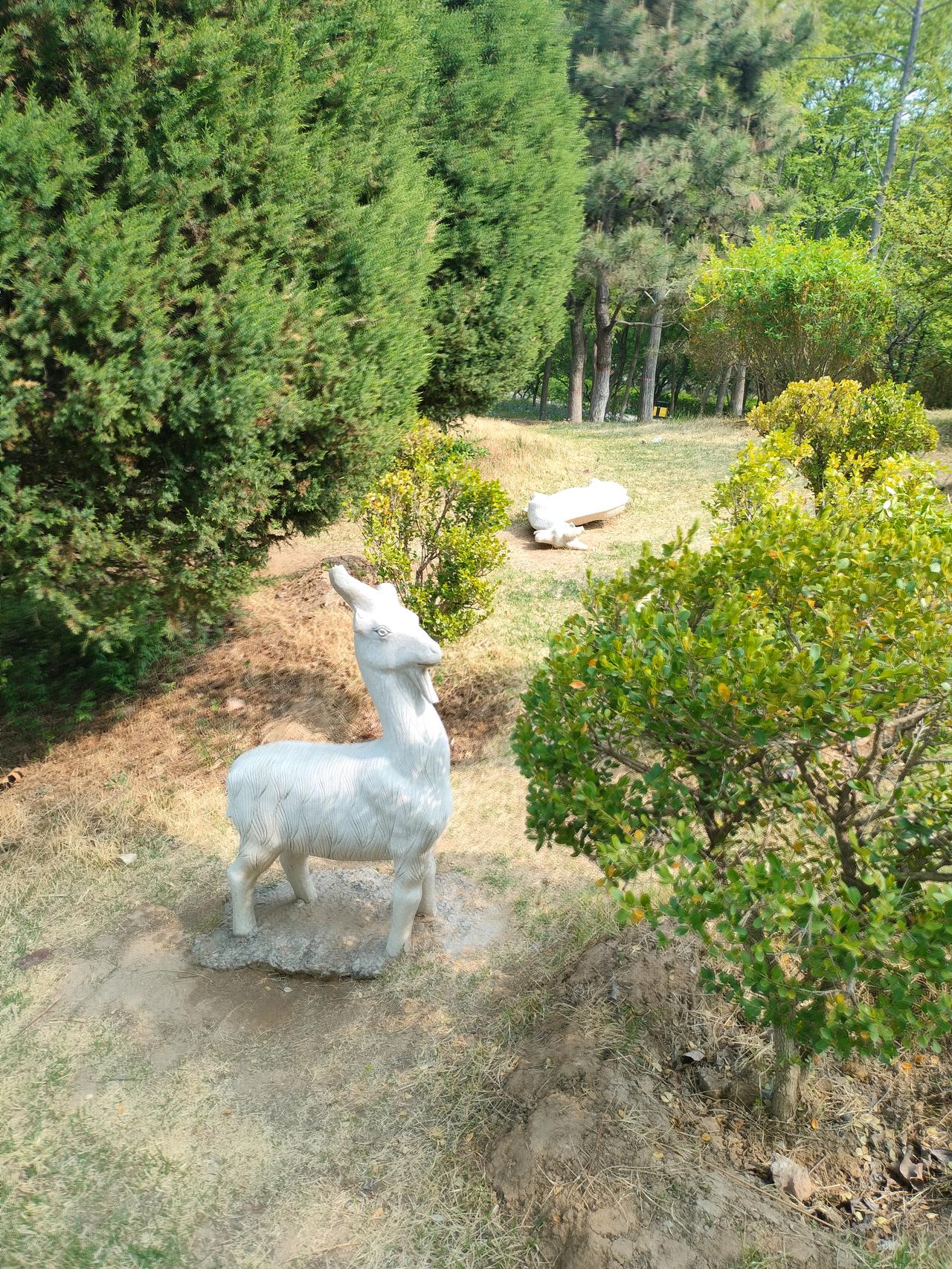 退休生活惬意又轻松，每天可以睡到自然醒，按时吃饭，春天可以出去踏青，还可以来一场