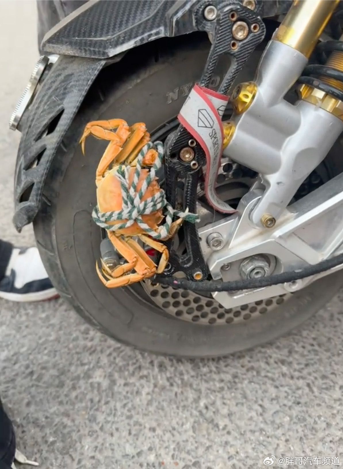 胖哥汽车频道 这怎么说？八活塞卡钳？我和汽车的日常大V聊车