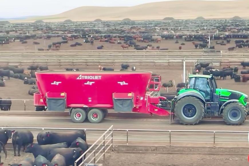 美国的养牛场，比中国的养猪场，更大更多，真是太震撼了！效率太高了！

美国的大型