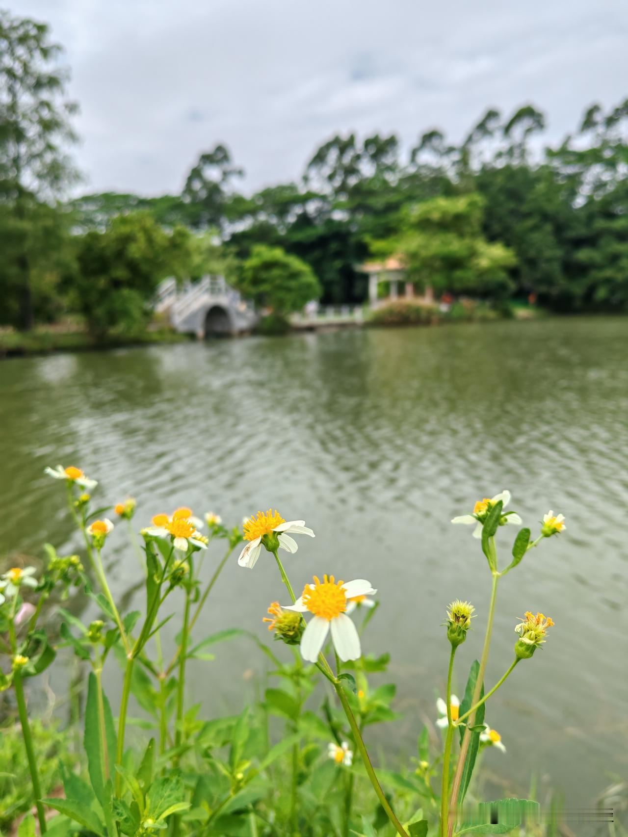湛江的环境怎么样？养老休闲合适吗？

湛江海边旅游 湛江城市风光 湛江滨海风光 