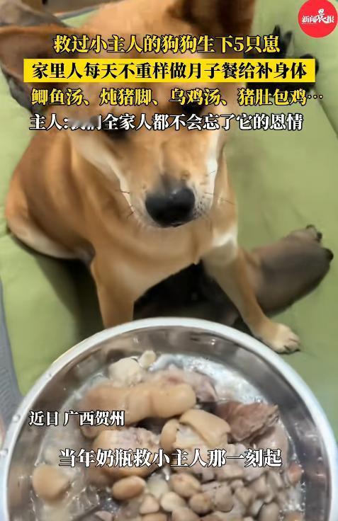 在广西贺州那边，一个小孩在河边玩，不知道怎么就掉水里了，那水可深了，大人都够呛，