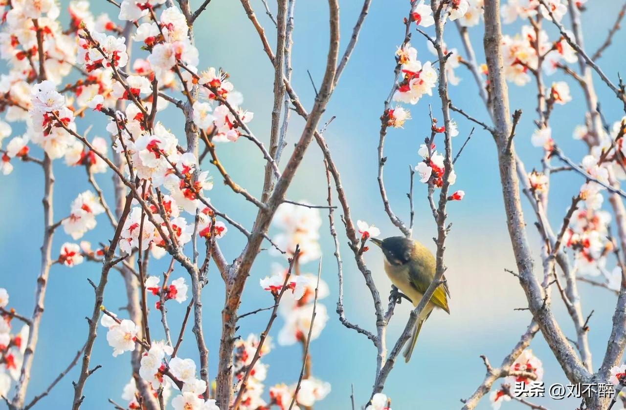 副县与高级教师，哪个退休后工资高这个不一定！主要看工作时长和年限和退休时间。同等