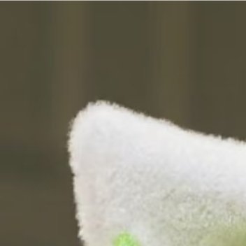 早安[超话]干啥啥不行，赖床第一名，早安~ ​​​