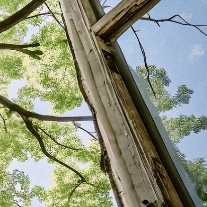 每日一善🌞 阳光信用🌞 每日一善  生命的价值，在于传递善意；人生的意义，在