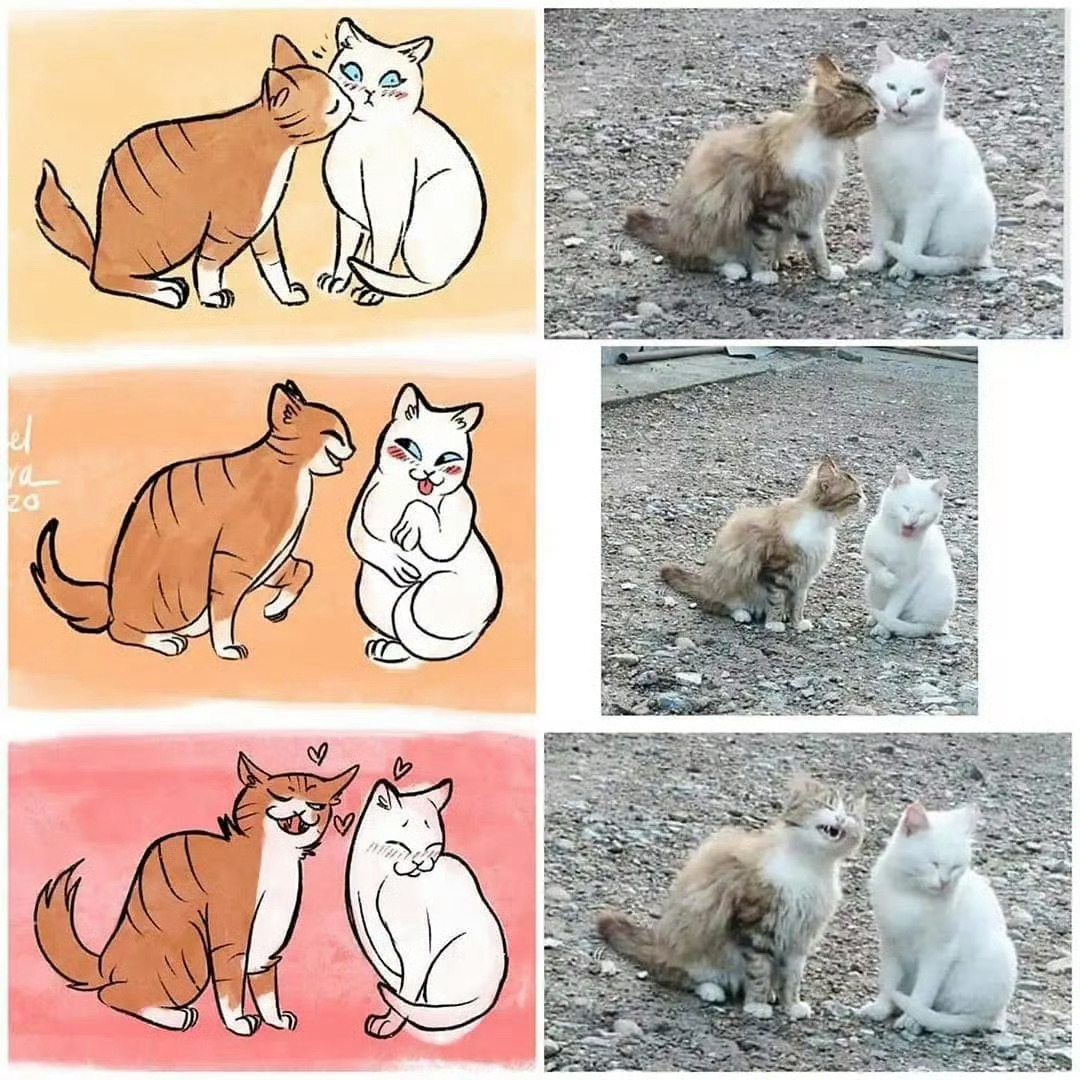 猫咪：v你50，把画删了吧