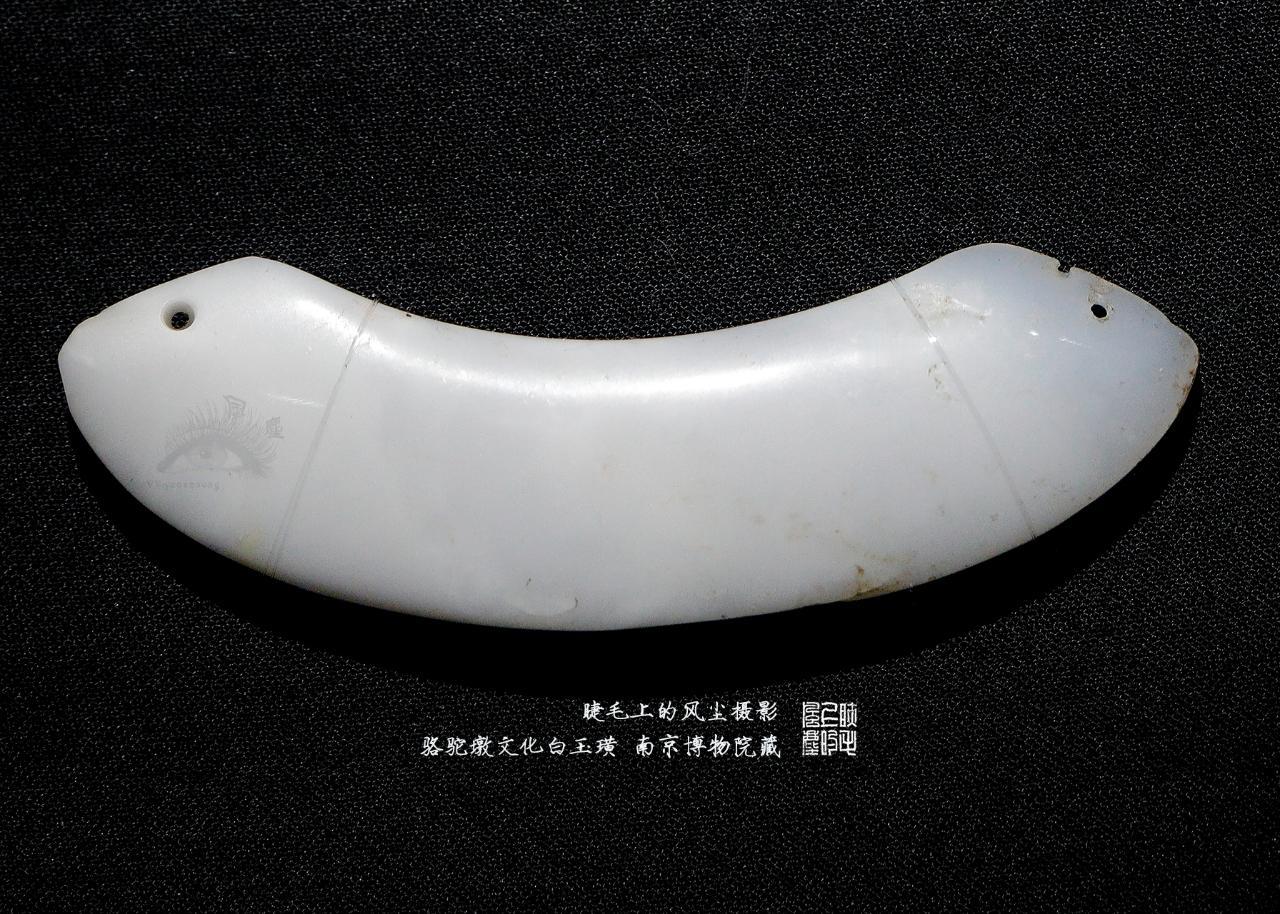 7300年前的骆驼墩文化玉璜、玦（一组3件高清微距）
    2014年江苏省溧