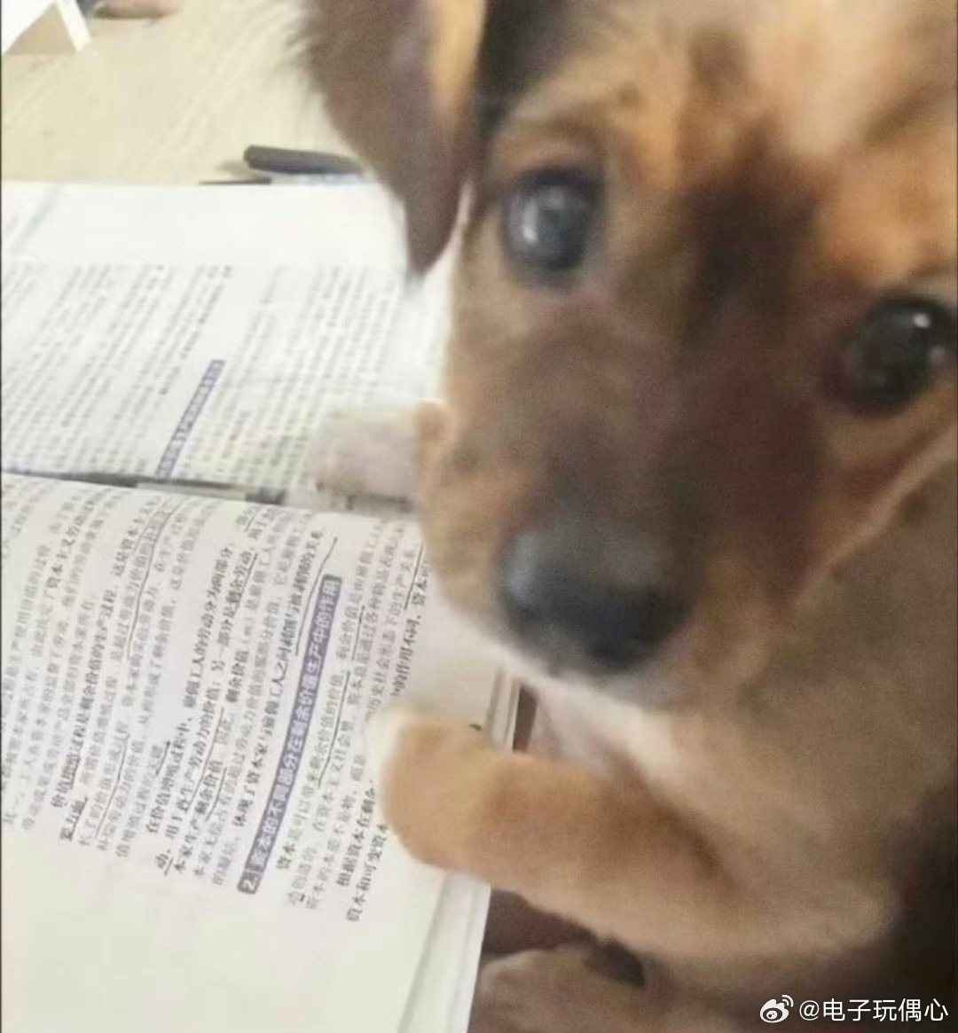 心态，决定一切。心态乐观的人，从不会因失败消极，更不会因挫折颓废。无论什么事情，