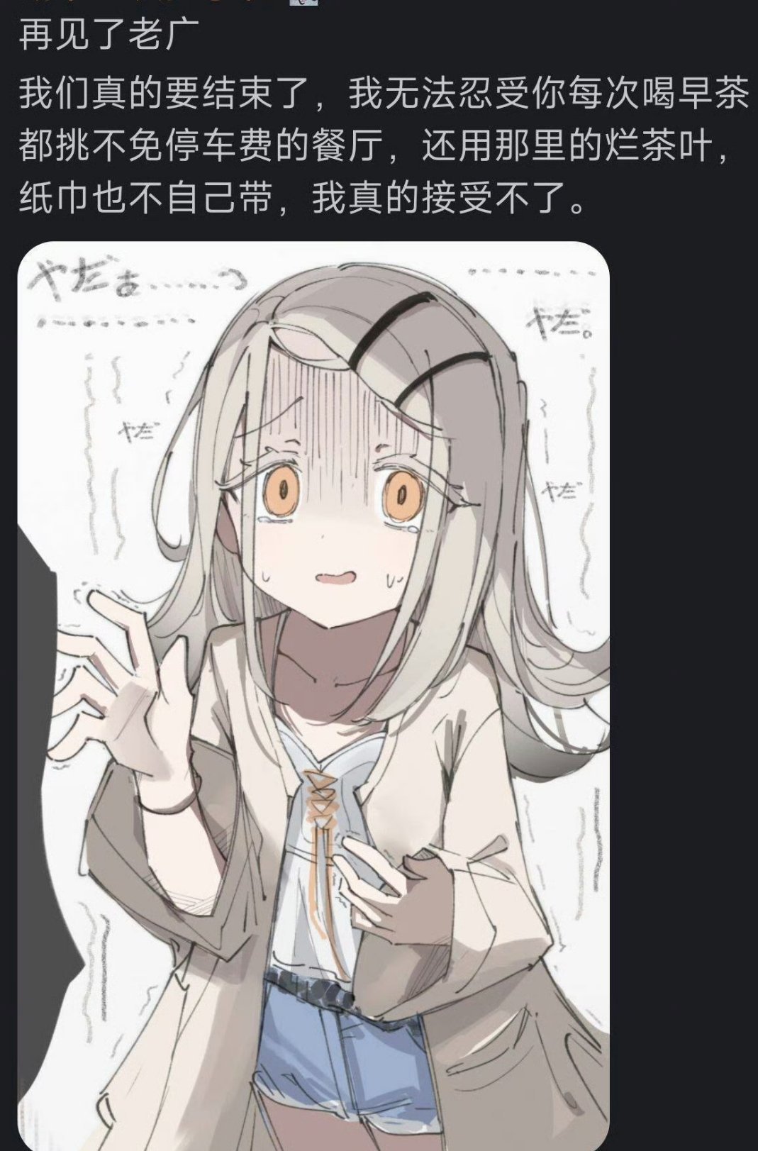 再见了老广