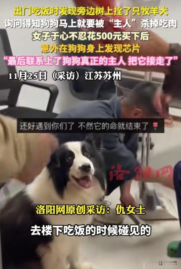 “遇到好心人了！”江苏苏州的街头，阳光洒在繁忙的巷道上，一幕令人心头一紧的场景悄