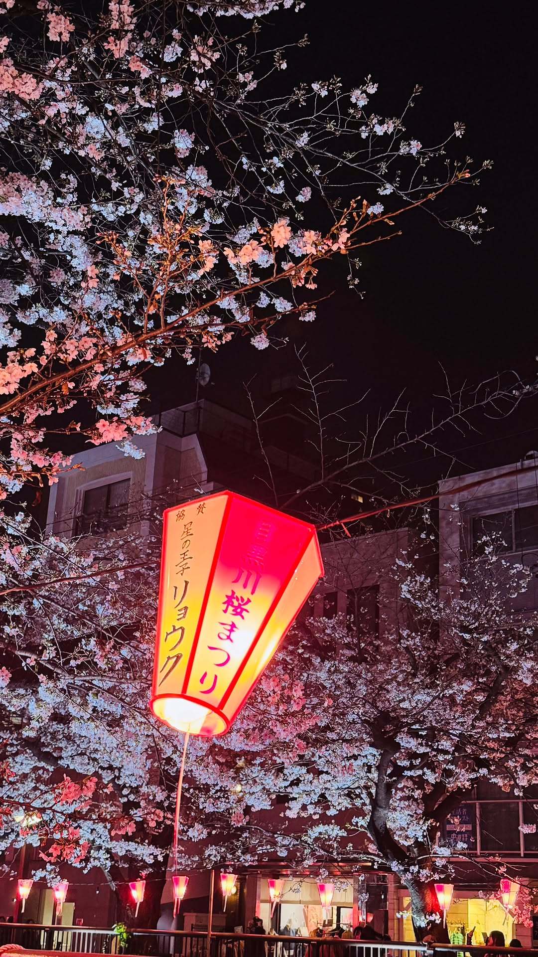 “CB百蓝_。260330金厉旭 ins story更新： 