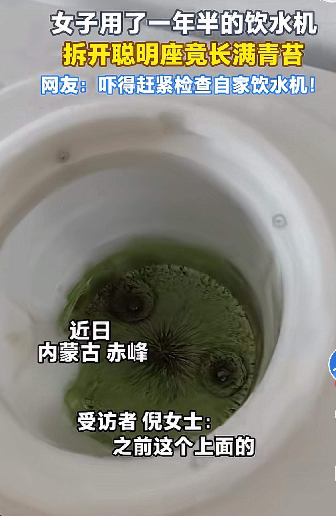 女子饮水机用了一年半，拆开瞬间头皮发麻：里面长满青苔！

你能想象自己每天喝的水