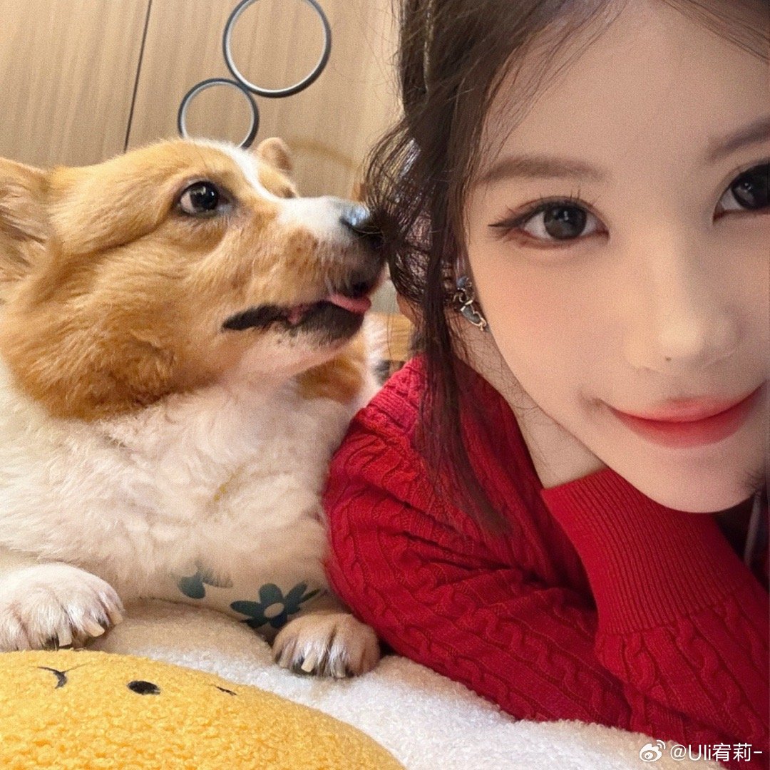 笨蛋小狗只要被人摸一下头就喜欢人类[馋嘴] ​​​