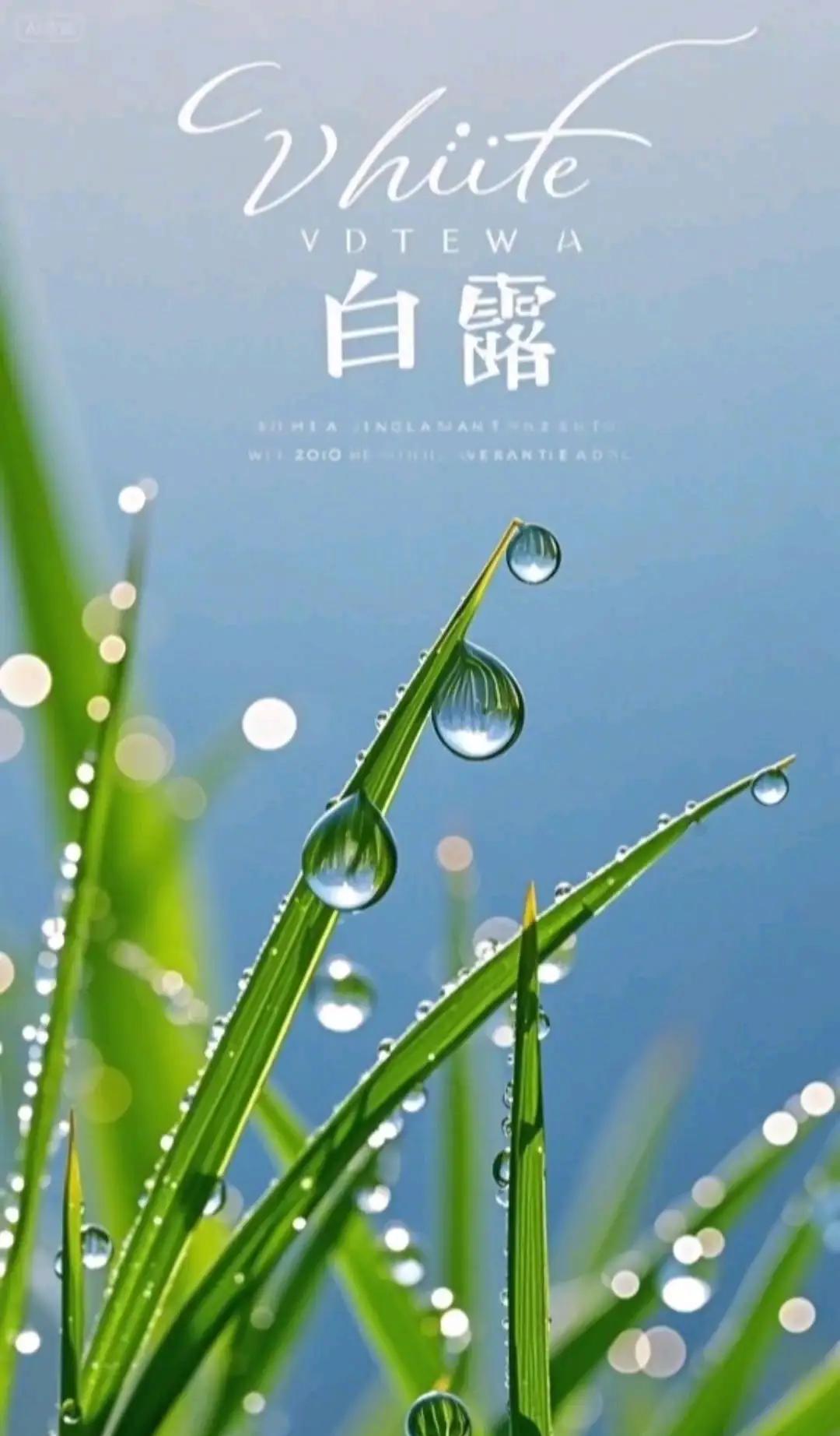 白露是24节气中的第15个节气，白露为霜，天气一下就变凉了。
白露接好运·分2万